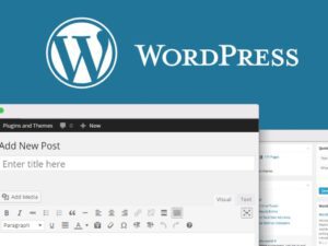 Leia mais sobre o artigo Como Fazer um Blog no WordPress: Guia Completo Atualizado